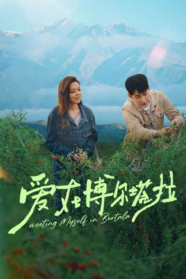 Poster chính thức của phim Phim Tâm Lý "Tình Yêu Ở Bortala" (Meeting Myself in Bortala - 2026), với sự tham gia của diễn viên Zhang Haolun và Đổng Chỉ Y.