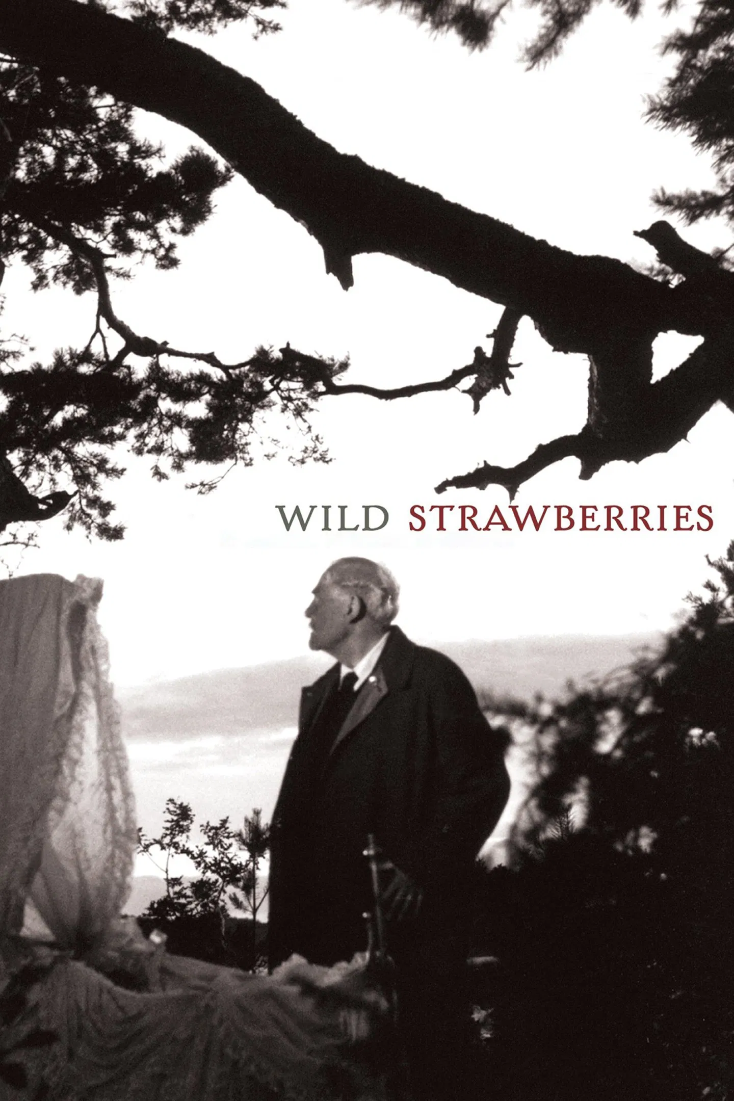 Poster chính thức của phim Phim Tâm Lý "Trái Dâu Dại" (Wild Strawberries - 1957), với sự tham gia của diễn viên Victor Sjöström và Bibi Andersson.