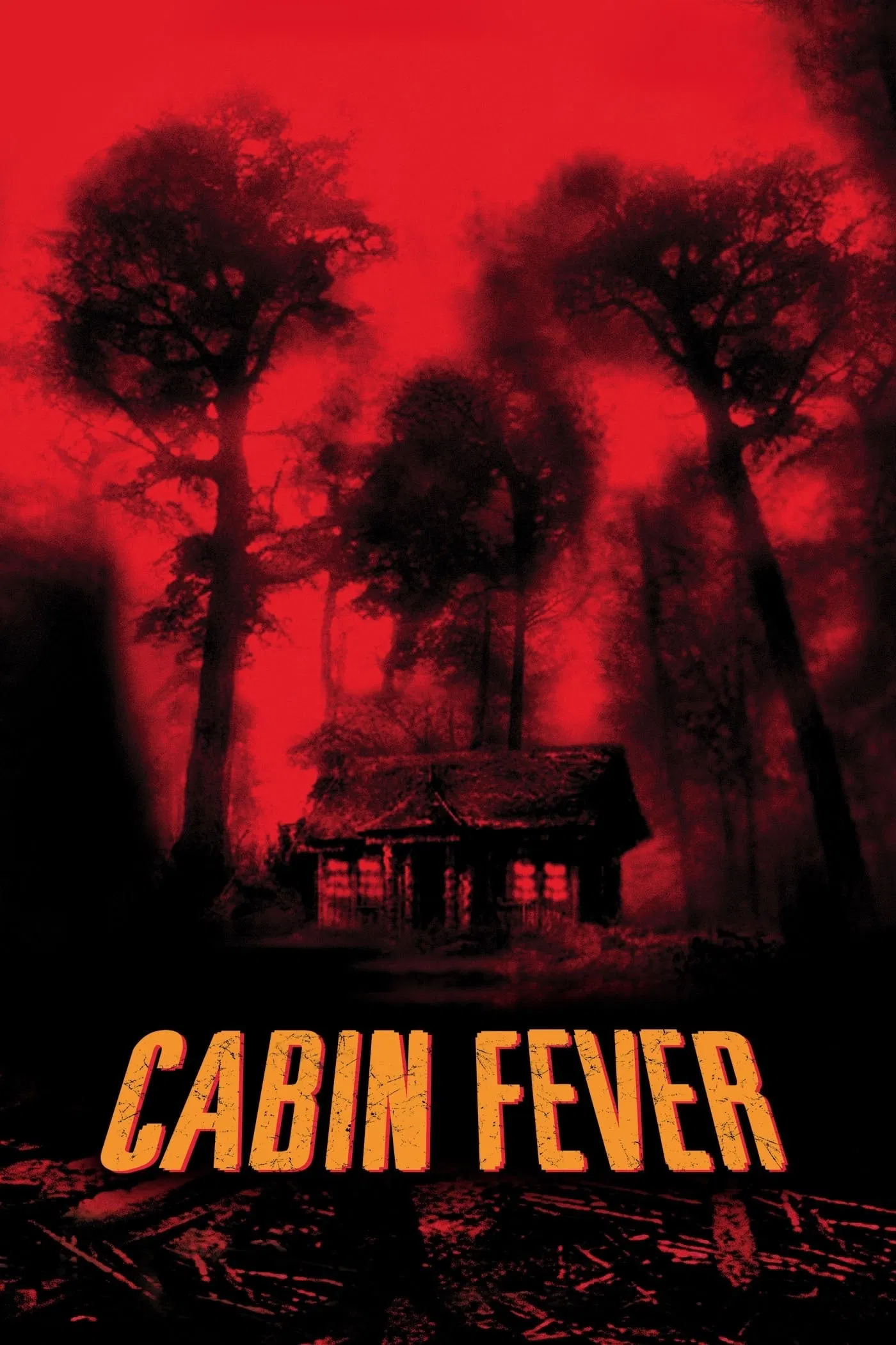 Poster chính thức của phim Phim Kinh Dị "Trạm Dừng Tử Thần" (Cabin Fever - 2003), với sự tham gia của diễn viên Rider Strong và Jordan Ladd.