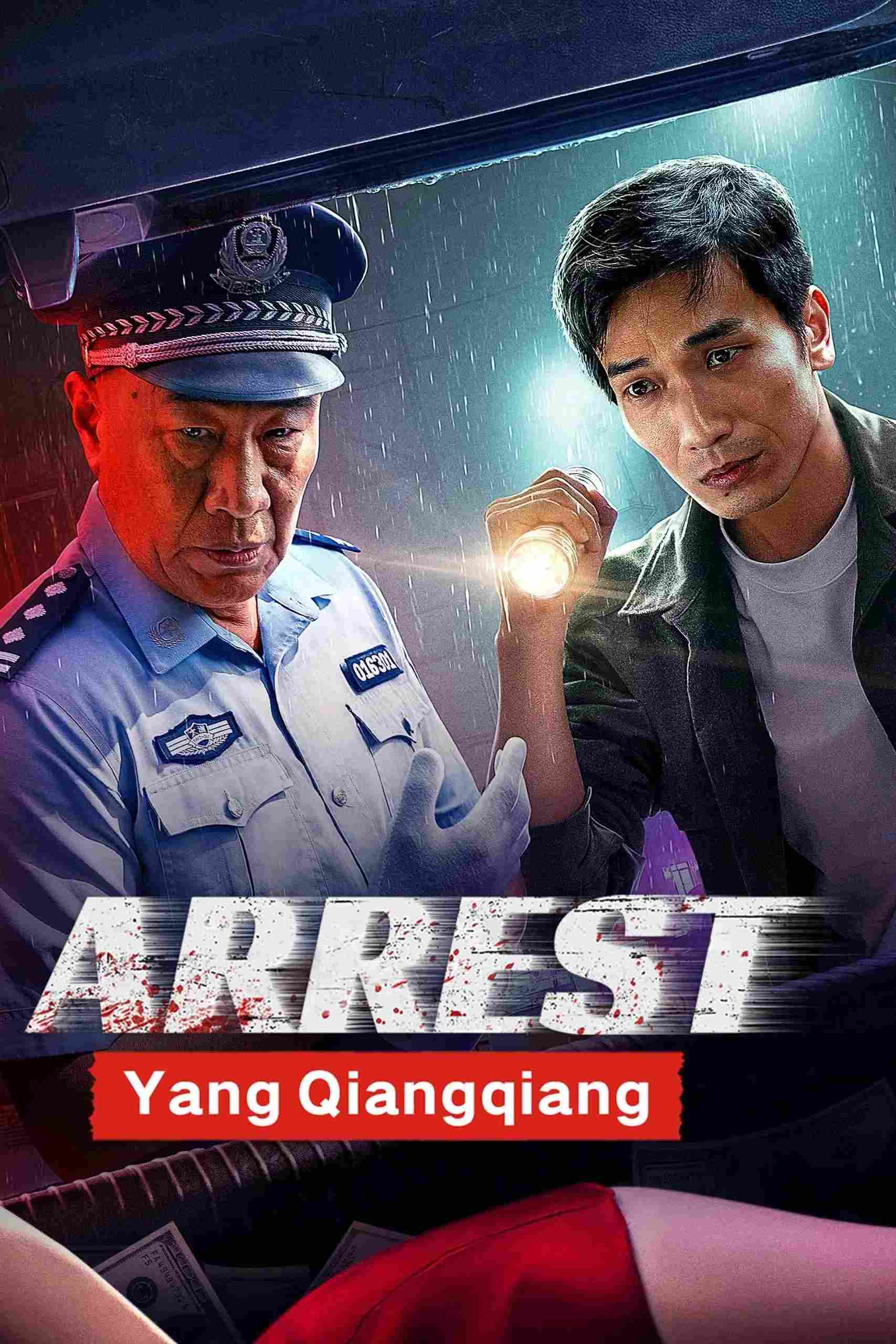 Poster chính thức của phim Phim Hình Sự, Phim Bí Ẩn "Truy Bắt Dương Thương Thương" (Arrest Yang Qiangqiang - 2024), với sự tham gia của diễn viên Shi Zhaoqi và Zhang Chao.
