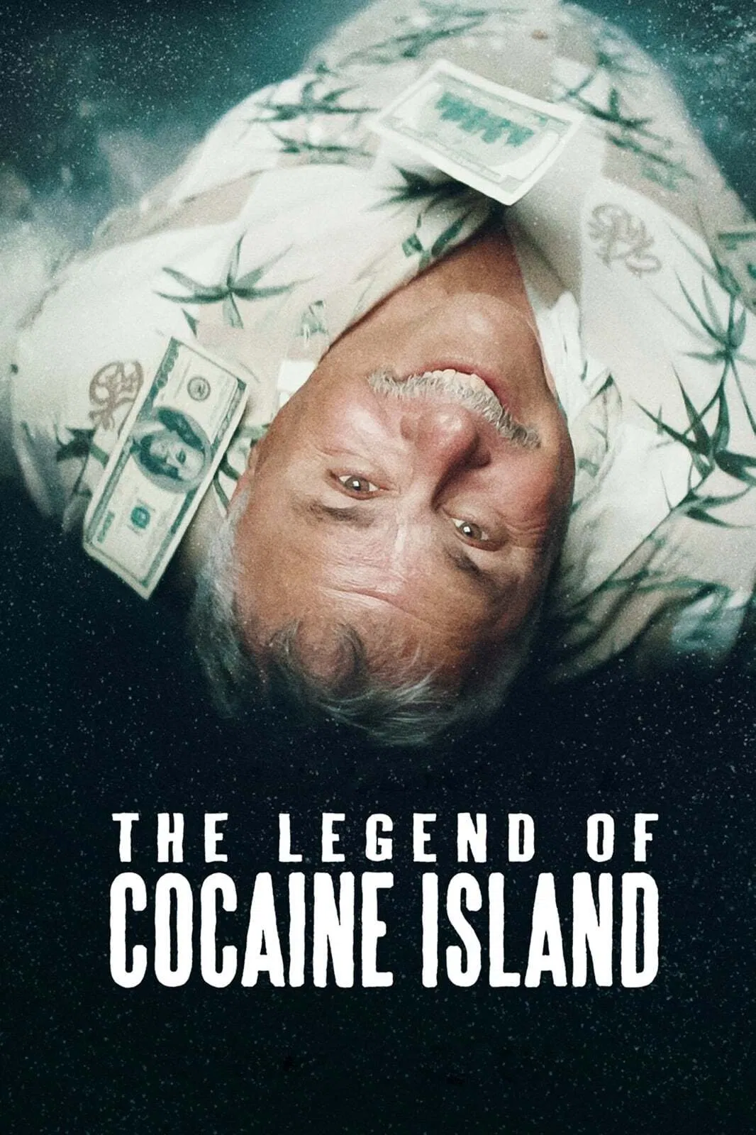 Poster chính thức của phim Phim Tài Liệu "Truyền thuyết đảo Cocaine" (The Legend of Cocaine Island - 2018), với sự tham gia của diễn viên Michael Opal và Danny Pardo.