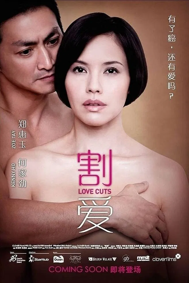 Poster chính thức của phim Phim Tâm Lý "Từ Bỏ Điều Thân Thương" (Love Cuts - 2010), với sự tham gia của diễn viên Zoe Tay và Hà Gia Kính.