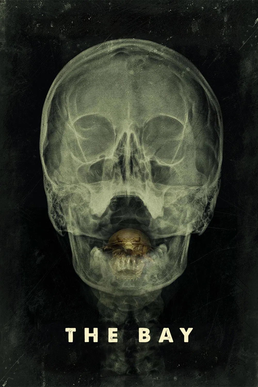 Poster chính thức của phim Phim Kinh Dị, Phim Viễn Tưởng "Vịnh Tử Thần" (The Bay - 2012), với sự tham gia của diễn viên Kristen Connolly và Will Rogers.