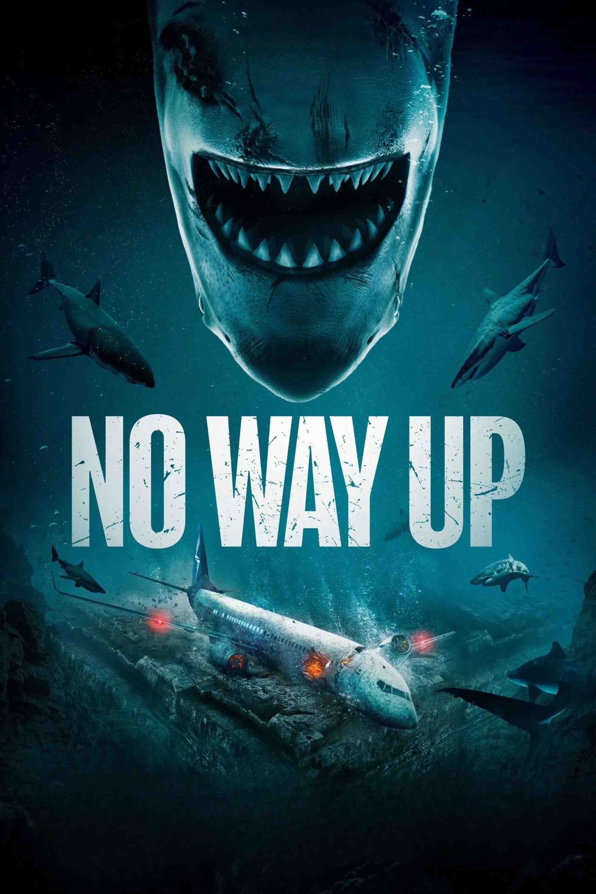 Poster chính thức của phim Phim Giật Gân, Phim Kinh Dị "Vòng Vây Cá Mập" (No Way Up - 2024), với sự tham gia của diễn viên Colm Meaney và Phyllis Logan.