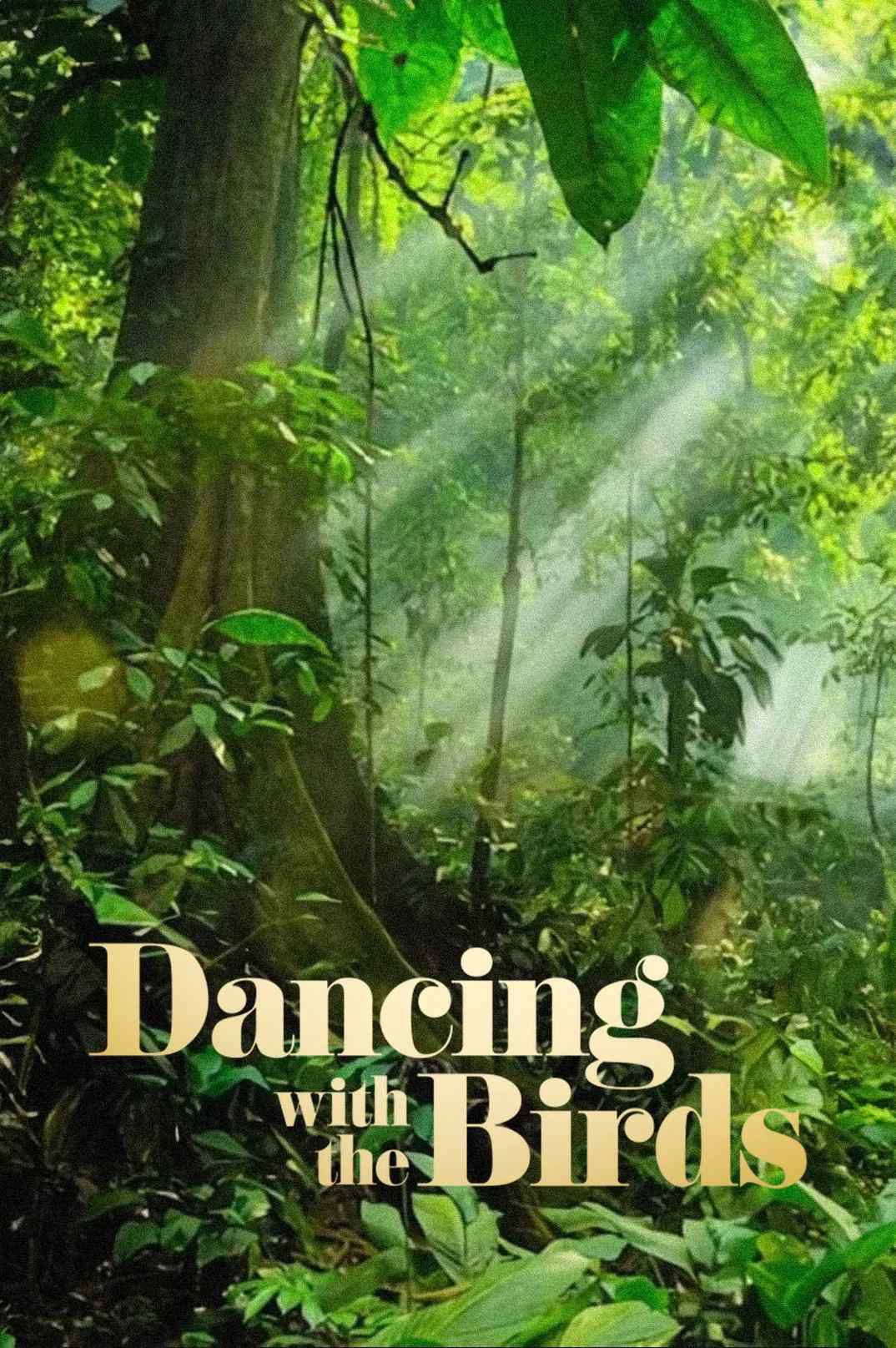 Poster chính thức của phim Phim Tài Liệu "Vũ Điệu Của Loài Chim" (Dancing with the Birds - 2019), với sự tham gia của diễn viên Stephen Fry.
