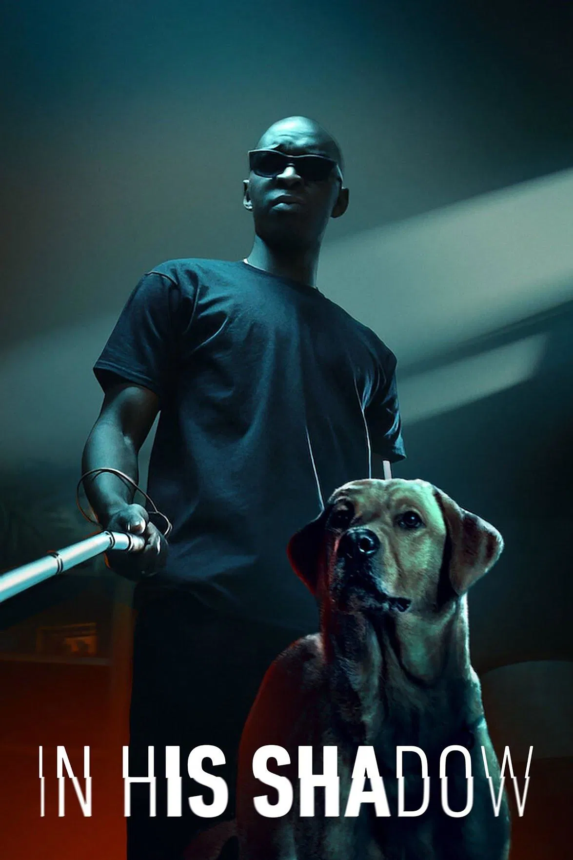 Poster chính thức của phim Phim Hình Sự, Phim Tâm Lý "Vua bóng đêm" (In His Shadow - 2023), với sự tham gia của diễn viên Kaaris và Alassane Diong.