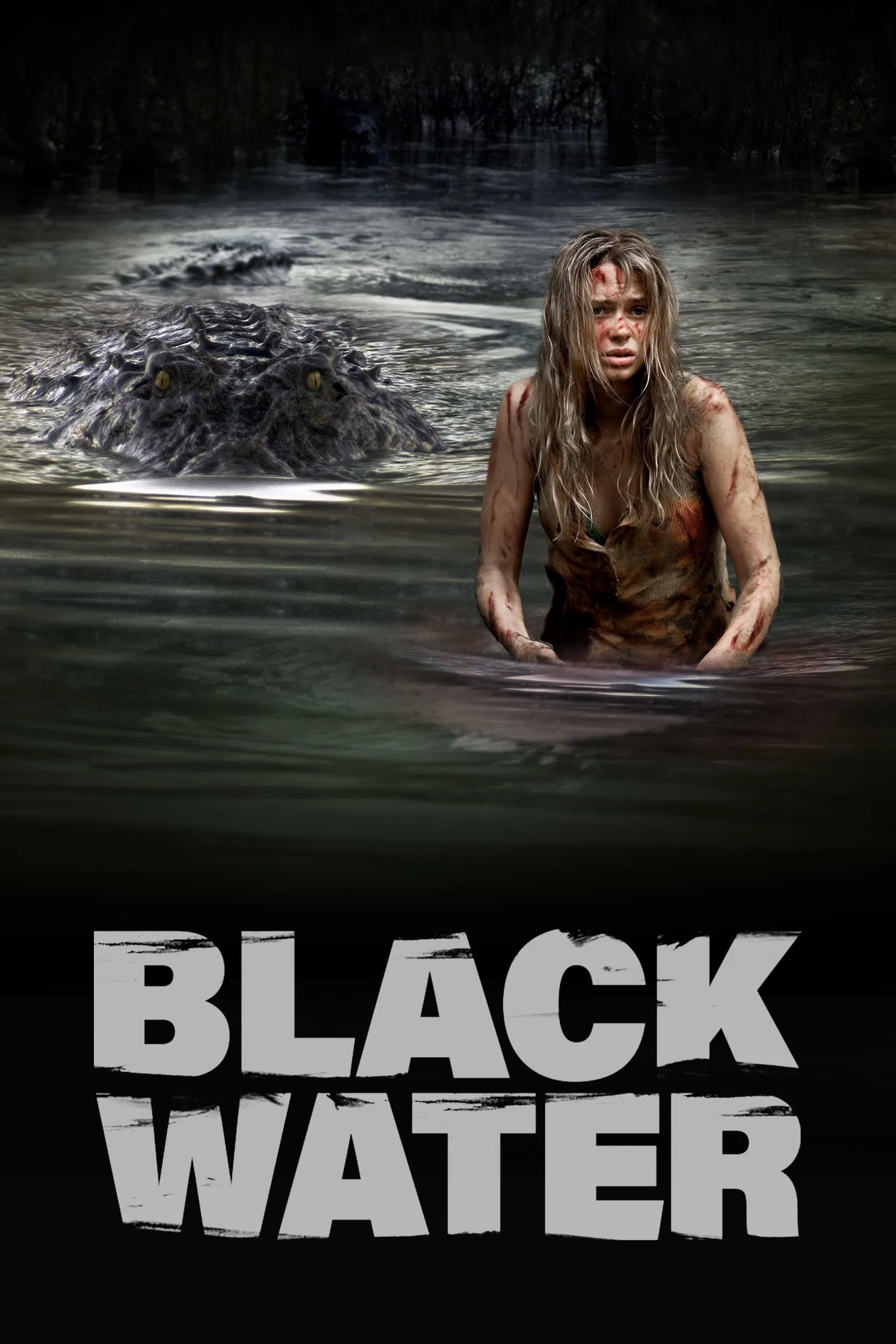 Poster chính thức của phim Phim Phiêu Lưu, Phim Tâm Lý "Vùng Nước Bùn" (Black Water - 2008), với sự tham gia của diễn viên Maeve Dermody và Diana Glenn.