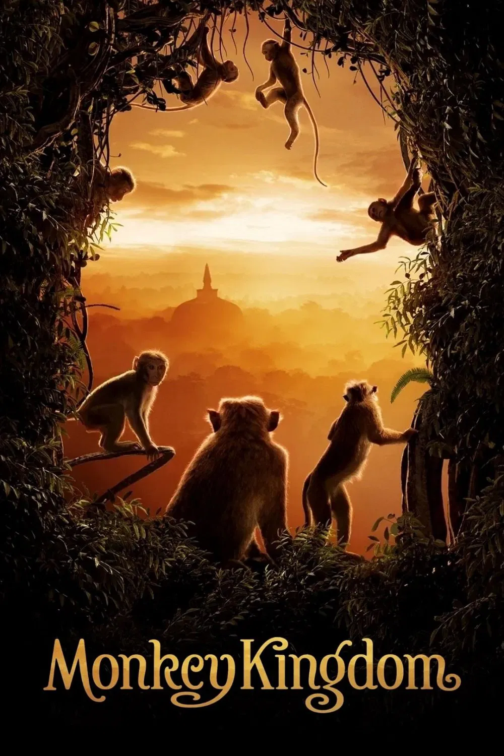 Poster chính thức của phim Phim Tài Liệu "Vương Quốc Loài Khỉ" (Monkey Kingdom - 2015), với sự tham gia của diễn viên Tina Fey.