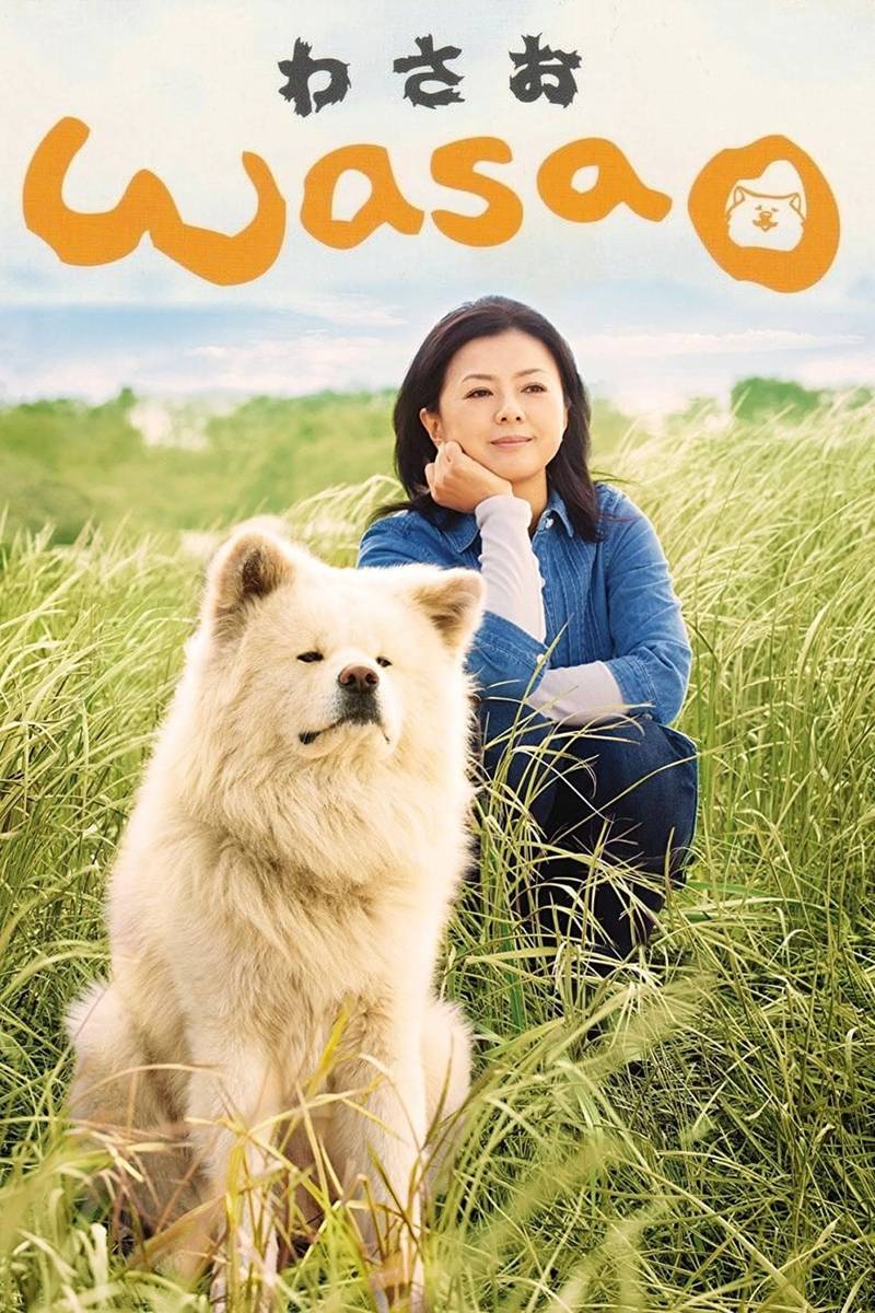 Poster chính thức của phim Phim Hài, Phim Tâm Lý "Wasao" (Wasao - 2011), với sự tham gia của diễn viên Hiroko Yakushimaru và Masahiro Koumoto.