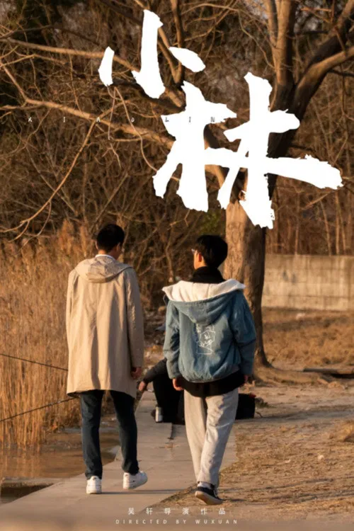Poster chính thức của phim Phim Tâm Lý, Phim Gia Đình "Xiao Lin" (Xiao Lin - 2021).