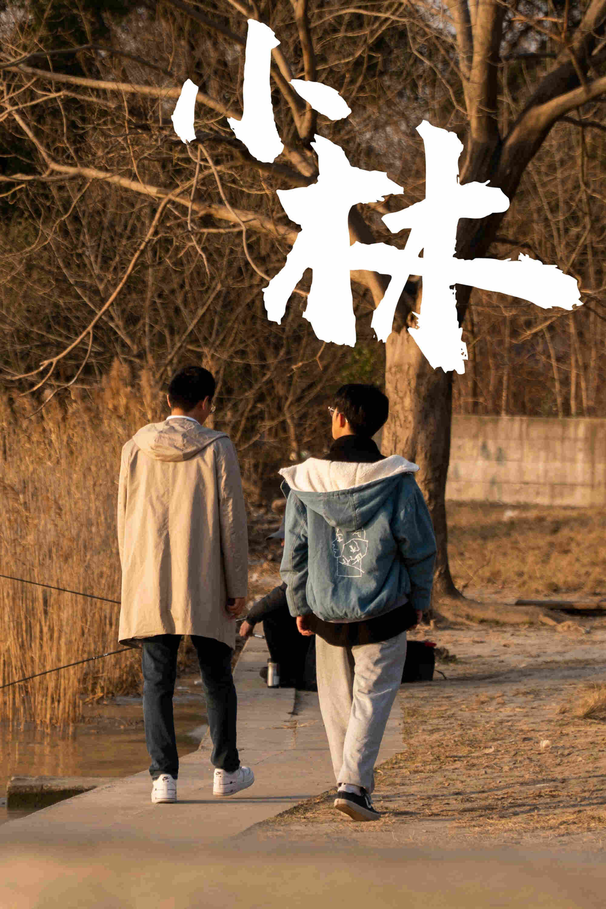 Poster chính thức của phim Phim Tâm Lý, Phim Gia Đình "Xiao Lin" (Xiao Lin - 2021).